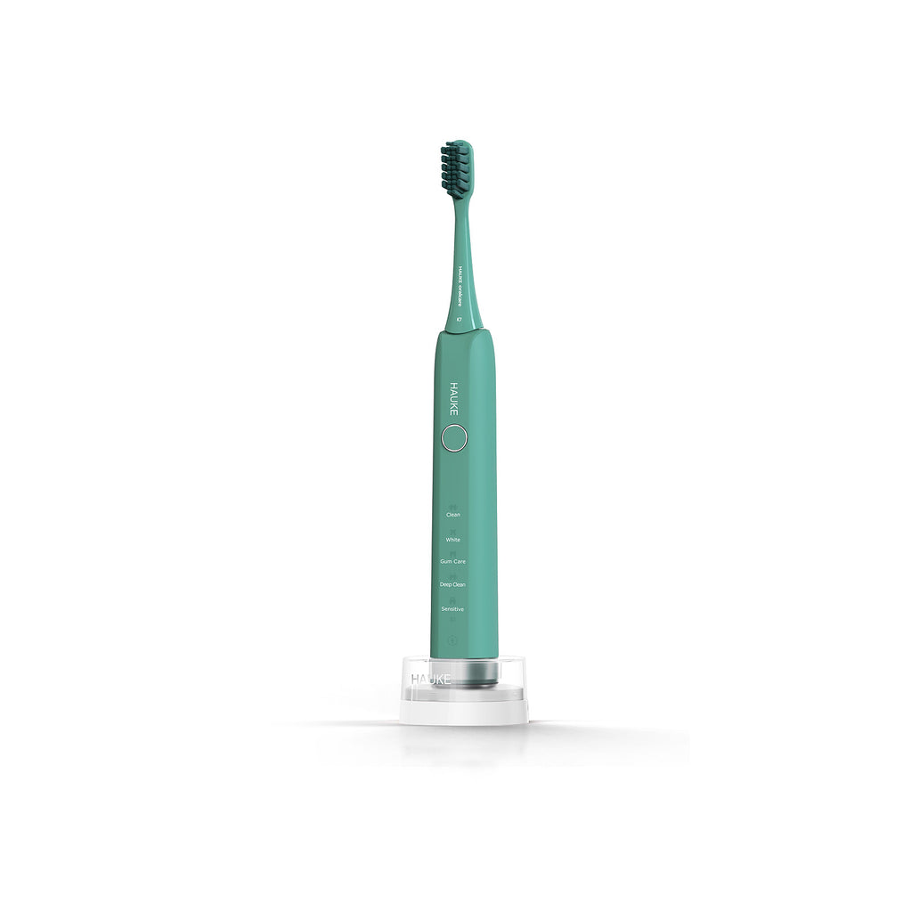 Adult electric toothbrush H9